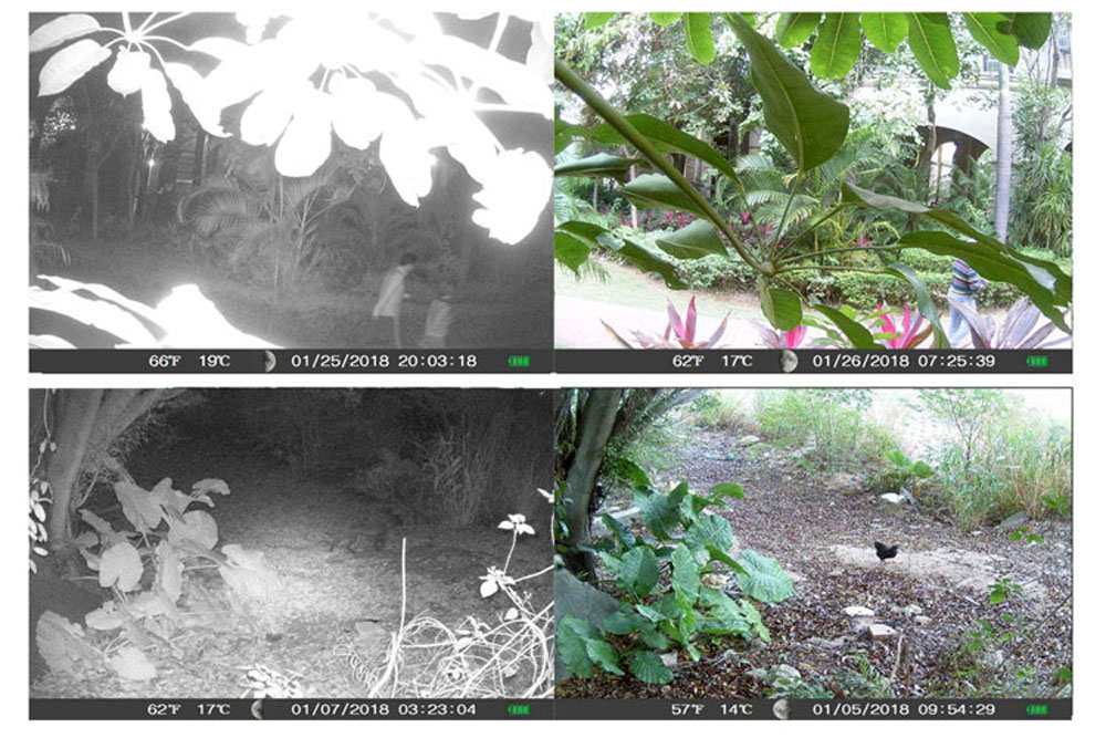 SV-TCM16C Anti-Fog Anti-Smear Prevent Invalid Shooting Hunting Trail Camera 16MP SV-TCM16C Anti-Fog Anti-Smear Prevent Invalid Shooting Hunting Trail Camera 16MP